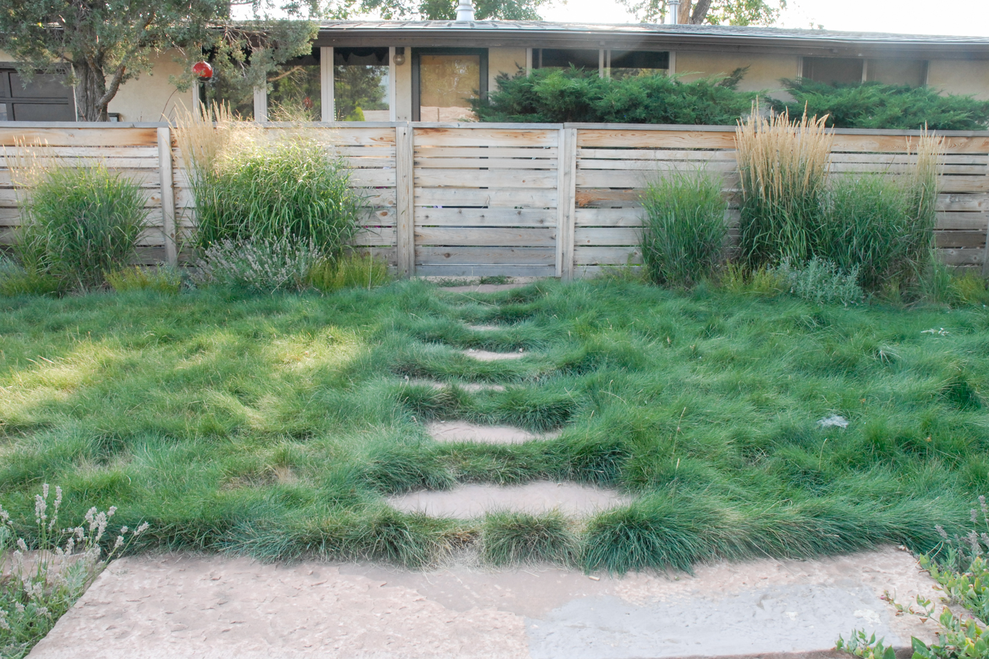 Contemporary Xeriscape